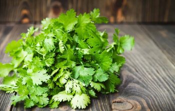 What can you Substitute for Cilantro and make Delicious Dish?