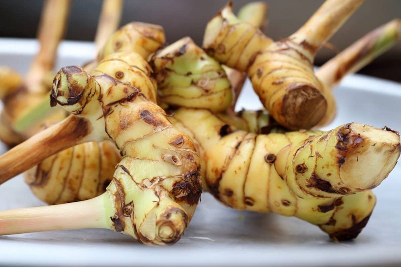 galangal root substitute